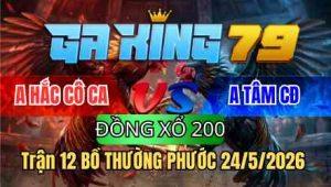 Trận 12 Bồ Thường Phước 24/5/2026 - A Hắc Cô Ca Ngta Cho Nặng 3 Chấm Vẫn Thua Xổ 200