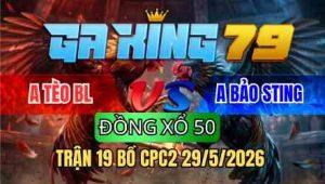 TRẬN 19 BỒ CPC2 29/5/2026 - ĐIỀU ĐÁ BO QUÁ LỚN ÚA KHÔNG CHỊU NỔI XIN THUA