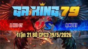 Trận 21 Bồ CPC2 19/5/2026 - Anh Nu Chấp Ngông Rồi Mất Luôn Cái Xổ 200