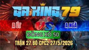TRẬN 27 BỒ CPC2 27/5/2026 - ĐIỀU ĐÂM TOÀN LƯNG NGỰC BƯỚM BỎ CHẠY NHANH LẸ