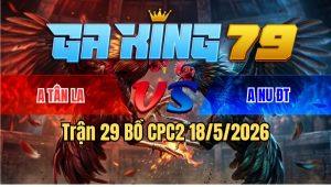 Trận 29 Bồ CPC3 18/5/2026 - Đỏ Đá 2 Chân Còn Ăn 2 Xanh Cò Cò Đá Lại Phản Luôn Tang