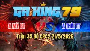 Trận 35 Bồ CPC2 21/5/2025 - Xám Đá Không Cựa Bướm Trả Lại Chân Gãy Giò