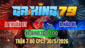 TRẬN 7 BỒ CPC2 30/5/2026 - ĐIỀU CHƯA THẢ PHÓNG LÚNG QUE ĐÁ TRÊN LƯNG NẰM TẠI CHỖ