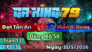 Trận 13 CPC3 Ngày 31/5/2026 - Điều Trích Gặp Dâu Vũ Mấy Cước Bích Cửa Ra