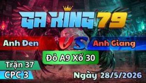 Trận 37 CPC3 Ngày 28/5/2026 - Gà Que Mạng Lớn Xém Chết Nhờ Cây Phản Hòa