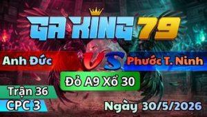 Trận 36 CPC3 Ngày 30/5/2026 - Xanh Canh Hứng Cặp Cựa Sụm Tùy Hư Hình