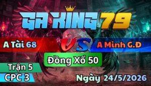 Trận 5 CPC3 Ngày 24/5/2026 - Điều nhìn thường mà đâm nhìn muốn bệnh