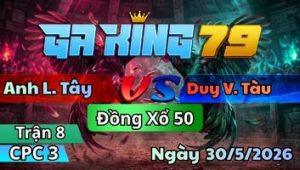 Trận 8 CPC3 Ngày 30/5/2026 - Que Đá Được Chân Bướm Đá 4 Chân Khó Ra