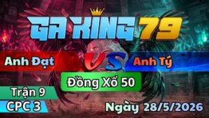 Trận 9 CPC3 Ngày 28/5/2026 - Bướm Ra Múa Được Mấy Chân Xong Phim