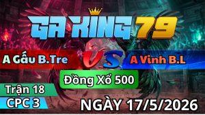 Trận 18 CPC3 Ngày 17/05/2026 - Điều vàng ra sân lùa bát 1 về nhà không dính miếng bụi