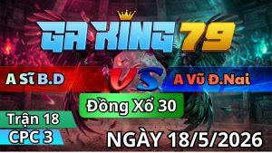 Trận 18 CPC3 Ngày 18/05/2026 - Điều vô ẩu úa phá mấy cặp gãy cánh hư hình
