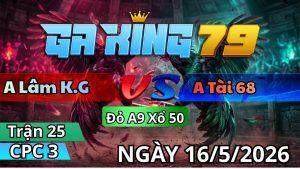 Trận 25 CPC3 Ngày 16/05/2026 - Điều cắt đâm tịch như 9 nút xanh vô cúng lẹ