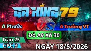 Trận 26 CPC3 Ngày 18/05/2026 - Bông lấy nhẹ cái giò cú hết sửa bò về nhà