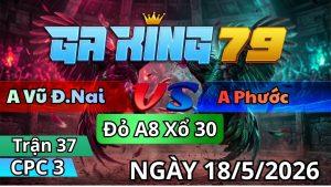 Trận 37 CPC3 Ngày 18/05/2026 - Chuối gặp que cặp vô mấy chân bưng ra sân