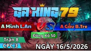 Trận 8 CPC3 Ngày 16/05/2026 - Bướm buông đuôi lấy tiền mau gọn lẹ