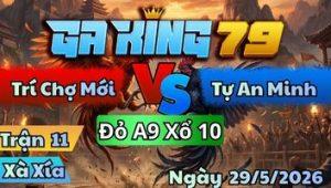 Trận 11 Xà Xía Ngày 29/5/2026 - Gà Úa Bay Nạp Bướm Đạp Cây Lọt Tim Hư