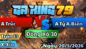 Trận 13 Xà Xía Ngày 20/5/2026 - Gà vàng đúng thứ ác lai ác báo