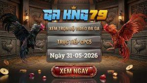 Xem Full Video Đá Gà CPC5 Ngày 31/05/2026