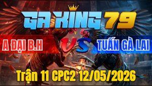 Trận 11 CPC2 12/05/2026 - Điều cuốn vô đâm gà vàng chết tại sân mau lẹ
