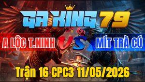 Trận 16 CPC3 11/05/2026 - Điều lắc mặt tránh né cặp vô bướm bể mình bay bồ