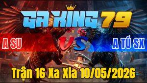 Trận 16 Xa Xia 10/05/2026 - Xanh Chà Mu Lưng Đỏ Vừa Chạy Vừa Ói