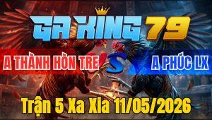 Trận 5 Xa Xia 11/05/2026 - Xanh Đâm Dã Mang Đỏ Ói Bưng Ra Sau Vài Chân