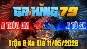 Trận 8 Xa Xia 11/05/2026 - Điều Đâm Như Giang Hồ Úa Dãy Chết Dưới Chân
