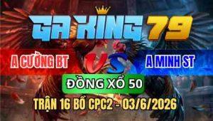 TRẬN 16 BỒ CPC2 03/6/2026 - XANH ĐÁ CHÂN LỌT NÁCH NON ĐỎ ÓI CHẾT PHẢN TANG