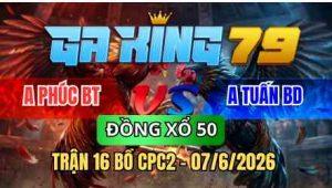 TRẬN 16 BỒ CPC2 07/6/2026 - BƯỚM BUÔNG ĐUÔI ĐÁ TOÀN MU LƯNG