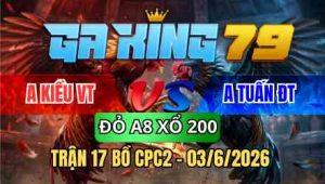TRẬN 17 BỒ CPC2 03/6/2026 - ĐIỀU BẰNG KÝ CHẤP NGÔNG 1 CỰA VÀ CÁI KẾT