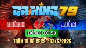 TRẬN 19 BỒ CPC2 03/6/2026 - ÚA QUÁ HAY ĐÁ ĐIỀU BƯNG RA NHANH LẸ
