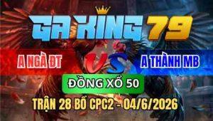 TRẬN 28 BỒ CPC2 04/6/2026 - BƯỚM ĐÂM HANG CUA XANH HƯ HÌNH NẰM LIỆT