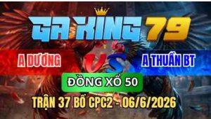 TRẬN 37 BỒ CPC2 06/6/2026 - ĐỎ ĐÂM NHƯ XÔM 1 TAY NƯỚC LỤM TIỀN