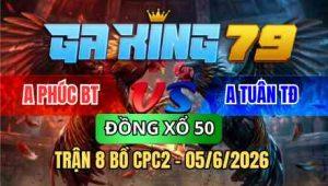 TRẬN 8 BỒ CPC2 05/6/2026 - ĐIỀU BUÔNG ĐUÔI LỤM TIỀN NHANH LẸ