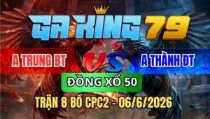 TRẬN 8 BỒ CPC2 06/6/2026 - ĐIỀU CHẤP NGÔNG 1 CỰA BƯỚM ĐÁ QUAY ĐẦU BỎ CHẠY