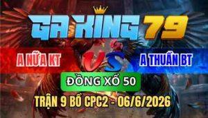 TRẬN 9 BỒ CPC2 06/6/2026 - BƯỚM ĐÂM TOÀN NGỰC KHÉT HƯ HÌNH NẰM TẠI CHỖ