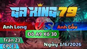Trận 23 CPC3 Ngày 1/6/2026 - Điều Canh Chặn Chân 1 Gà Vàng Bán Bong Bóng