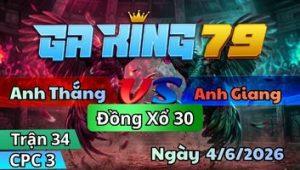 Trận 33 CPC3 Ngày 4/6/2026 - Điều Chân Xanh Phản Cây Cuối Xanh Hết Cứu