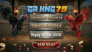 Xem Full Video Đá Gà CPC4 Ngày 01/06/2026