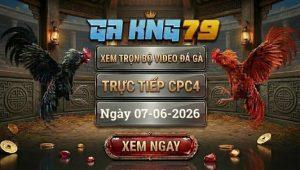 Xem Full Video Đá Gà CPC4 Ngày 07/06/2026